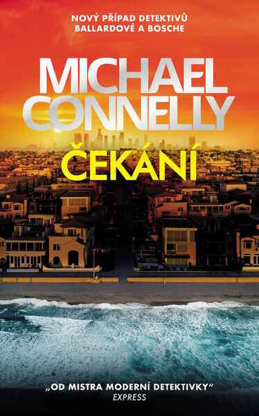 Čekání - 9788027610693