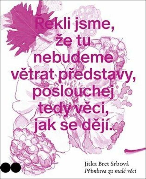 Přímluva za malé věci - 9788027525478
