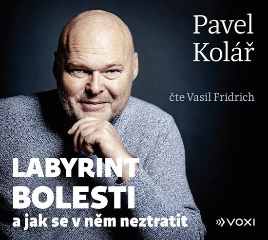 Labyrint bolesti - 9788074483905