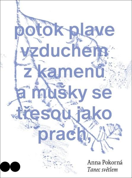 Tanec světlem - 9788027525485