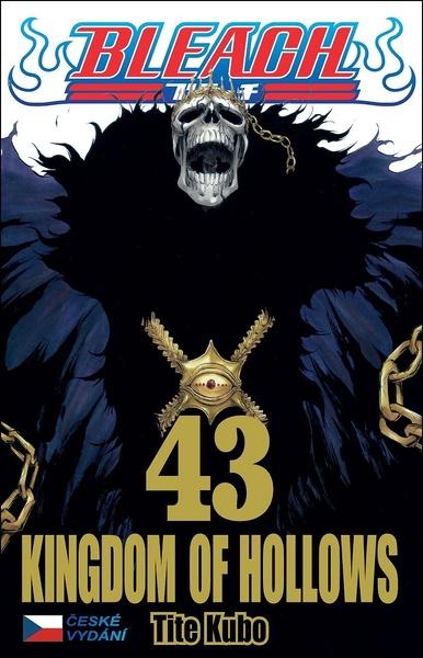 Bleach Kingdom of Hollows - 9788076798335