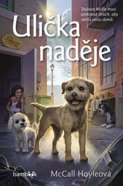 Ulička naděje - 9788027135110