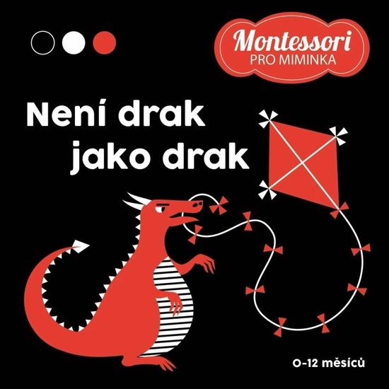 Není drak jako drak - 9788027762088