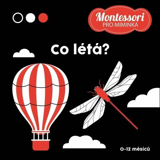 Co létá? - 9788027762101
