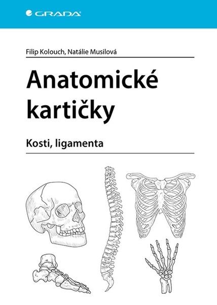 Anatomické kartičky - 9788027157488