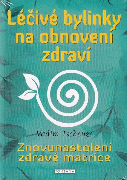 Léčivé bylinky na obnovení zdraví - 9788076512344