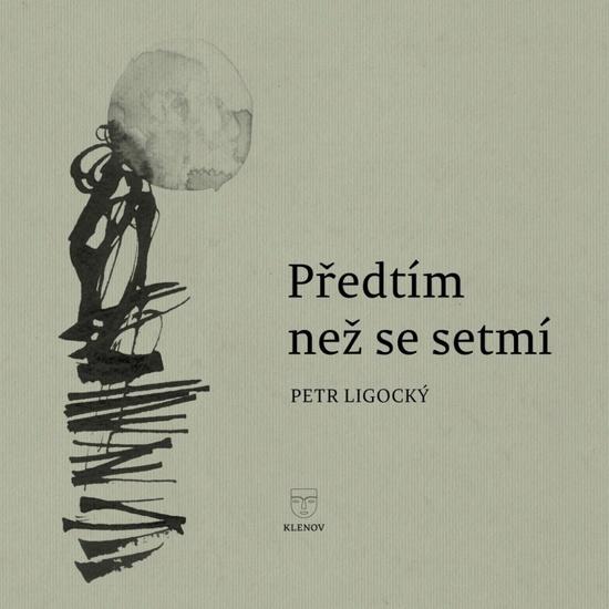 Předtím než se setmí - 9788090922853