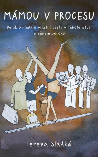Mámou v procesu - Od dvou čárek k prvnímu úsměvu - 9788028412401