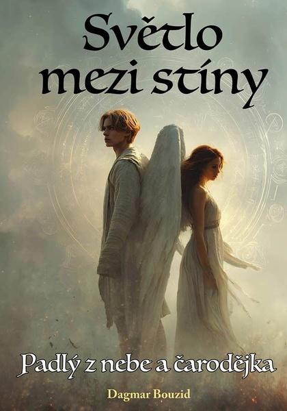 Světlo mezi stíny - 9788076661851