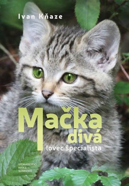 Mačka divá - 9788081153723