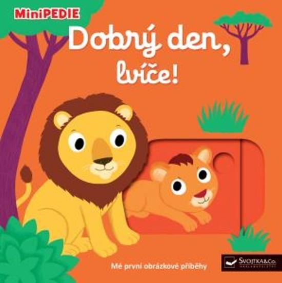 Rodinka ze 141. ulice a skrytá zahrada - 9788025376843