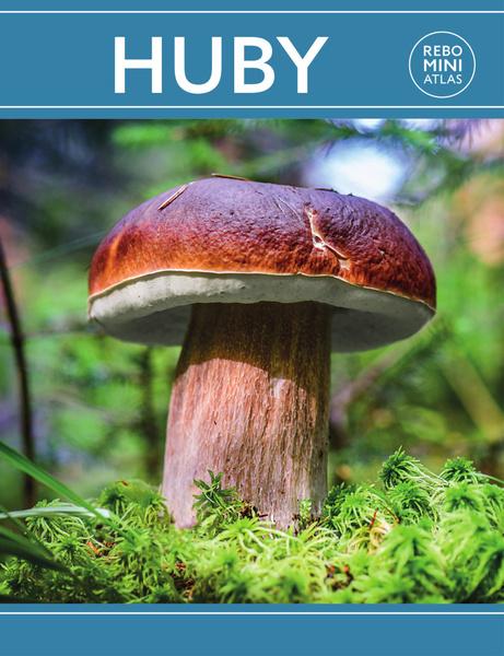 Na kole po středních Čechách - 9788028410582