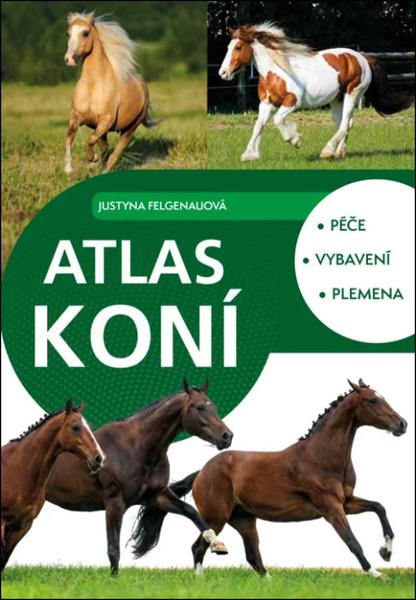 Jak vnímat, poznávat a vyjadřovat své potřeby - 9788088648482