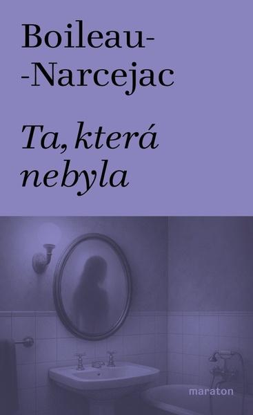 Pracovní sešit předškoláka - 9788026621614