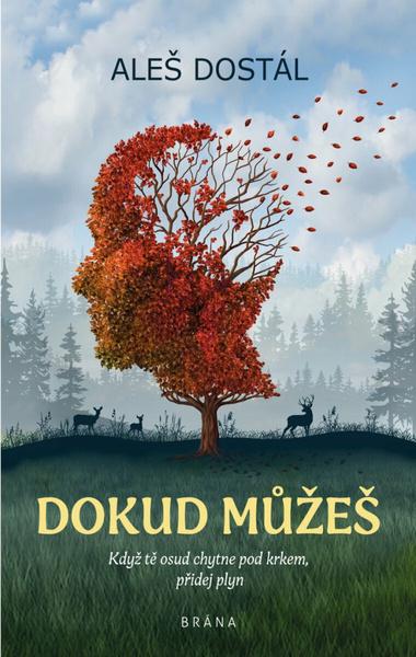Dane, účtovníctvo, odvody bez chýb, pokút a penále