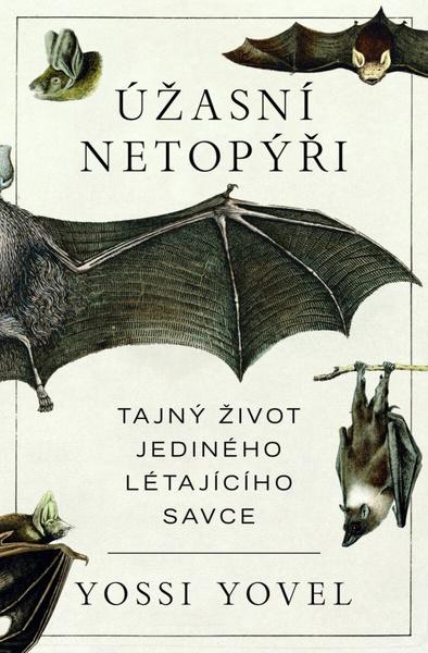 Nerovně sjednoceni - 9788074853227
