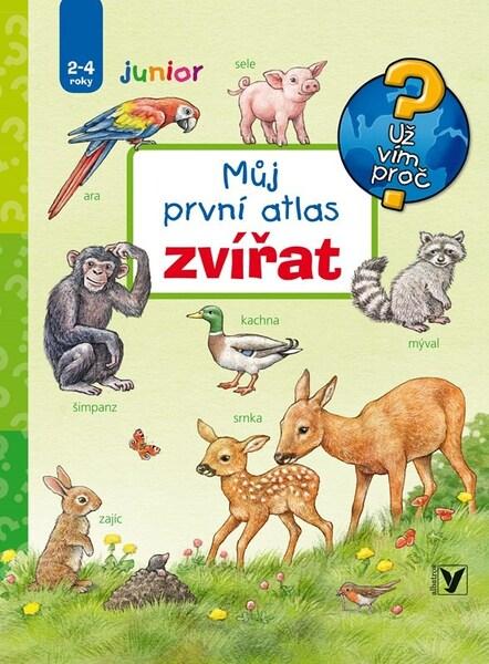Velké ekonomické dějiny Stručná verze - 9788076752634