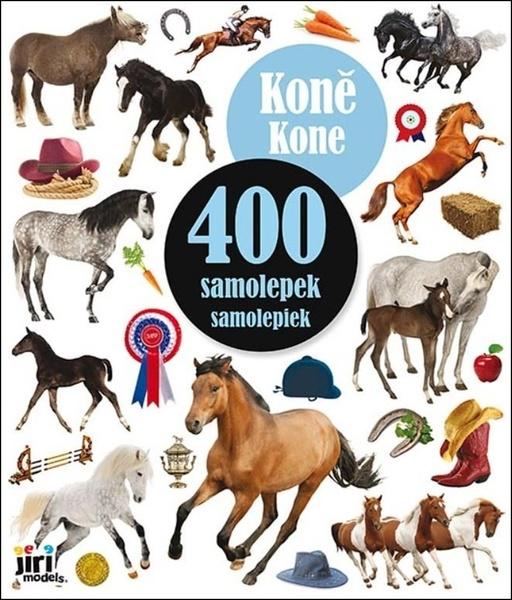 Nebezpečný sen - 9788027528639