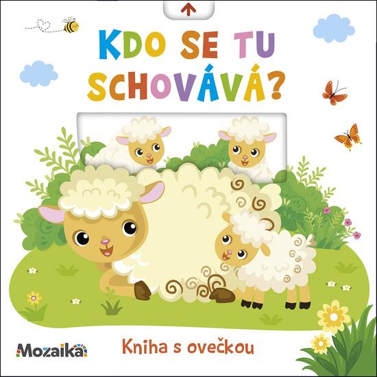 Rytíř a můra - 9788027760275