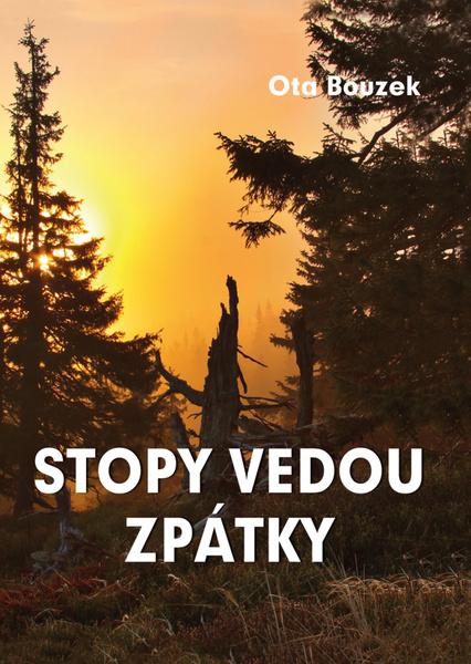 To přece nejsem já - 9788027743995