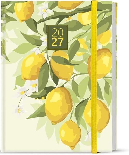 Denní diář 2027 Baloušek Adam Lamino B6 Citron