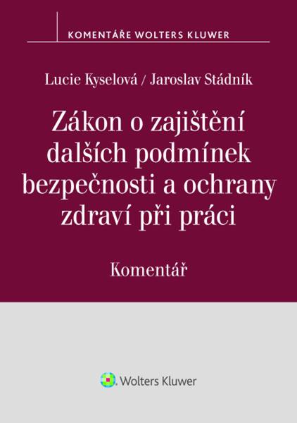 Kámoši s florbalkou 2 - 9788024775722